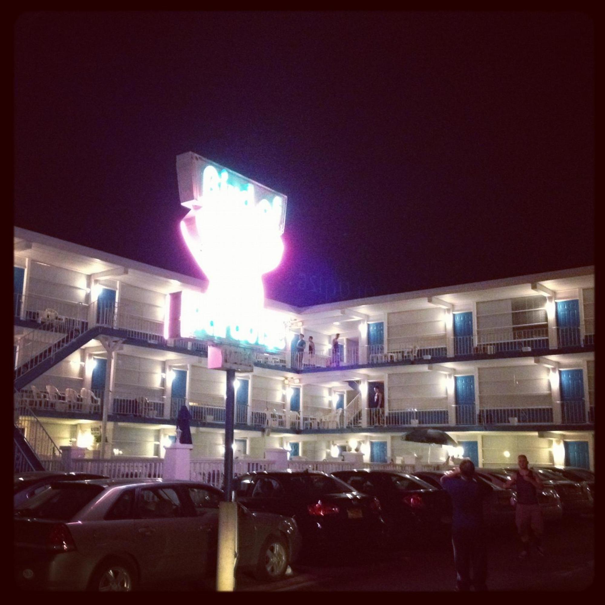 Bird Of Paradise Motel North Wildwood Exteriör bild