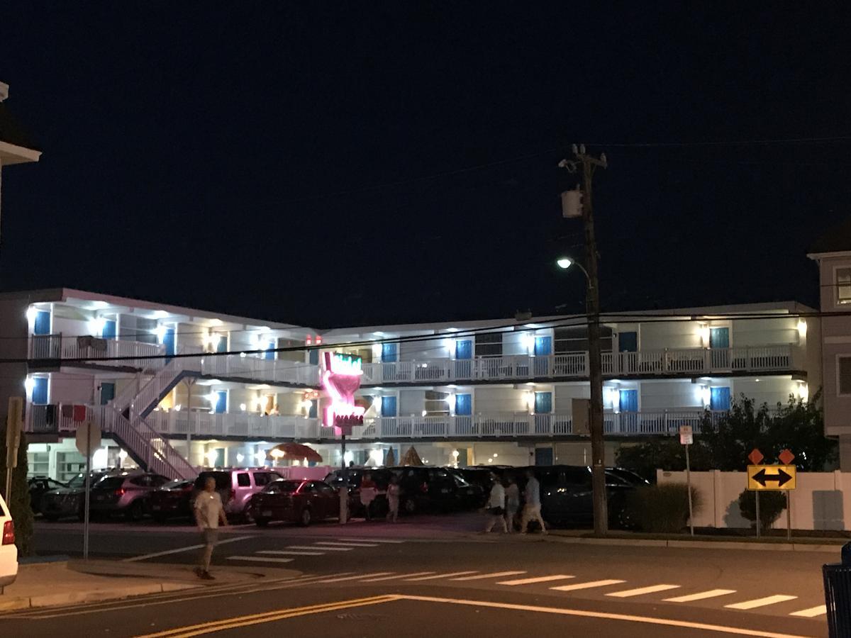 Bird Of Paradise Motel North Wildwood Exteriör bild